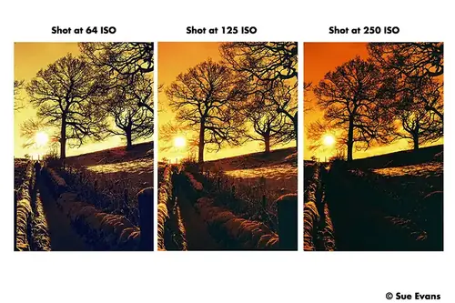 Film kolorowy Harman Red ISO 125/135/ 36 zdj.