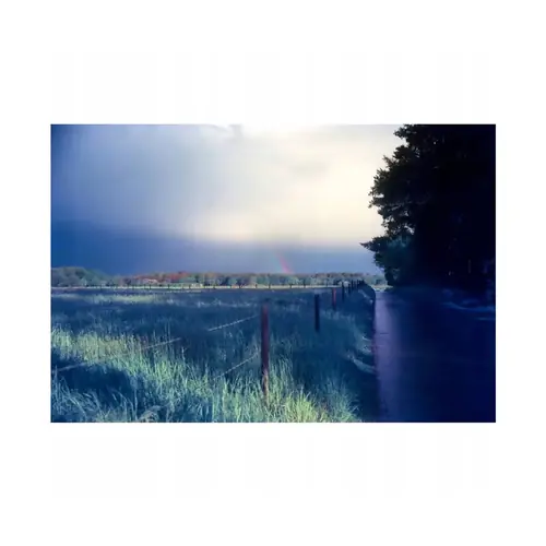 Film kolorowy Kono Delight ART II ISO 100/120/ 36 zdj.