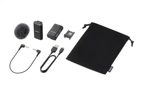 Sony ECM-W2BT