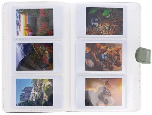 Album Fujifilm Instax Mini na 108 zdjęć Moos Green