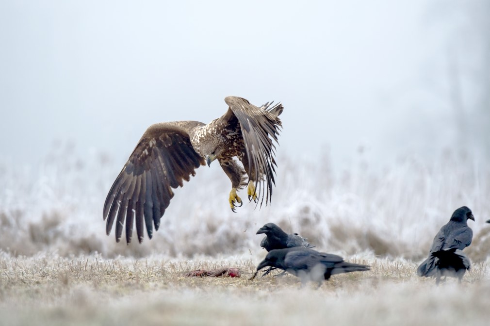 konkurs_fotograficzny