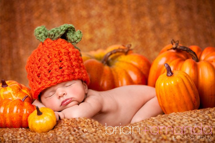 Photo by Brian+Amanda Photography