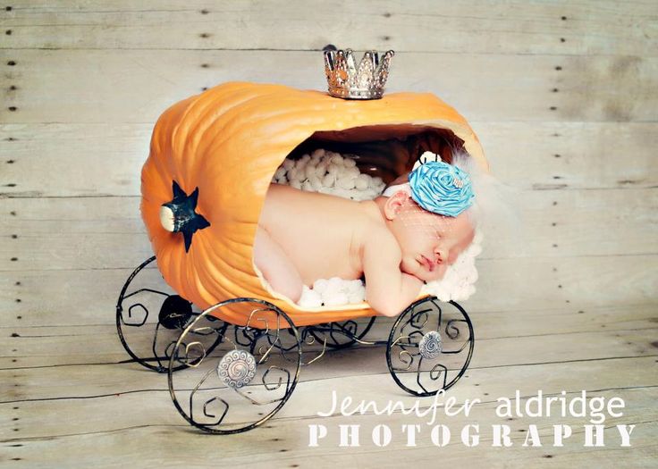 photo by Jennifer Aldrige Phoyography