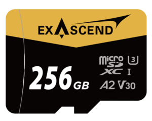 Karta ExAscend microSDXC Catalyst 256GB [FOTO7]