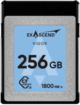 Karta pamięci ExAscend Vigor CFexpress B 256 GB