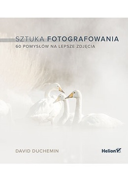 Książka - Sztuka fotografowania. 60 pomysłów na lepsze zdjęcia - David duChemin