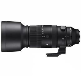 Sigma S 60-600mm f/4.5-6.3 DG DN OS (Sony E)