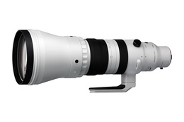 Sigma S 300-600mm f/4 DG OS L-MOUNT