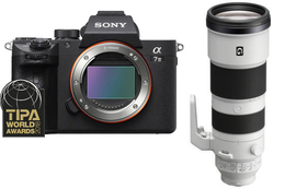 Sony A7 III (ILCE7 M3) + Sony FE 200-600mm f/5.6-6.3G OSS (SEL200600G)