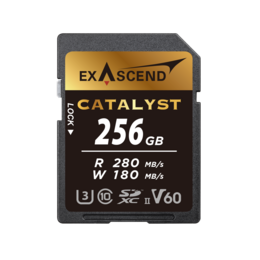 Karta pamięci ExAscend Catalyst UHS-II V60 256GB