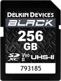 Karta Delkin Black SDXC 256GB UHS-II (V90) R300/W250
