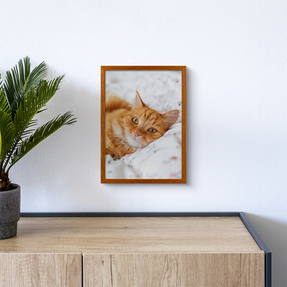 Ramka Icar Pinia - różne kolory i formaty - Miodowy, 21x30, 21x30