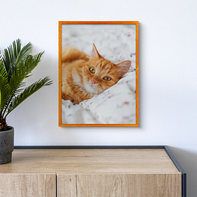 Ramka Icar Pinia - różne kolory i formaty - Miodowy, 30x40, 30x40