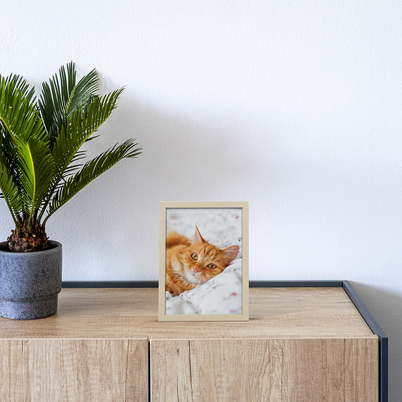 Ramka Icar Pinia - różne kolory i formaty - Kremowy, 15x21, 15x21