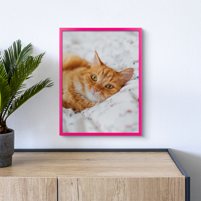 Ramka Icar Pinia - różne kolory i formaty - Różowy, 30x40, 30x40