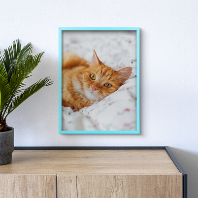 Ramka Icar Pinia - różne kolory i formaty - turkusowy, 30x40, 30x40