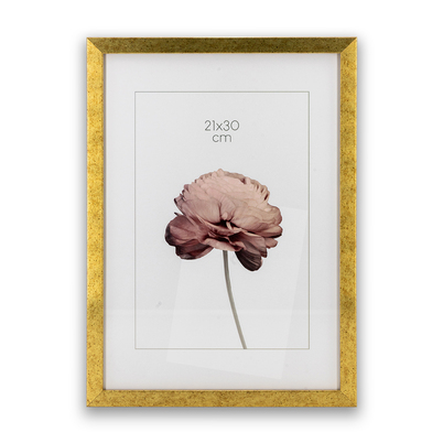 Ramka Styler Prague - różne kolory i formaty - Stare złoto, 21x30, 21x30