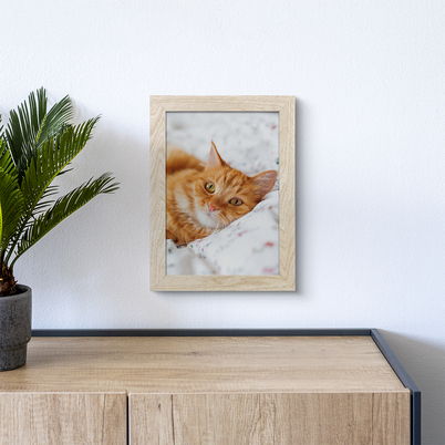 Ramka Styler Yosemite - różne kolory i formaty - Kremowy, 21x30, 21x30