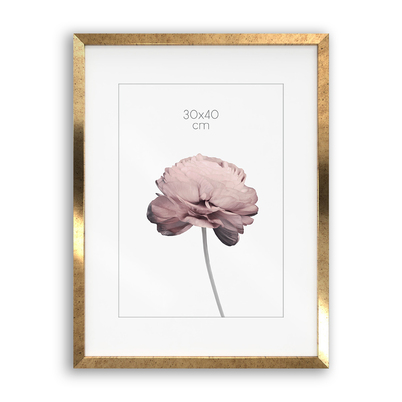 Ramka Styler Prague - różne kolory i formaty - Stare złoto, 30x40, 30x40