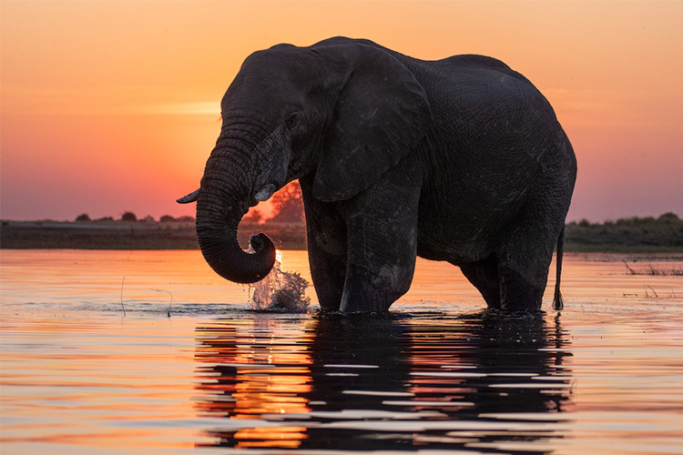 Sigma C 100-400mm f/5-6.3 DG DN OS (Fuji X)  