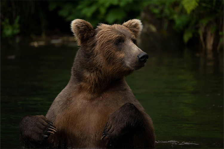 TAMRON 150-500mm f/5-6.7 Di III VC VXD Nikon Z