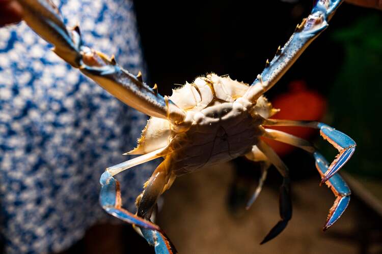 Viltrox AF 23mm f/1.4 (Nikon Z)