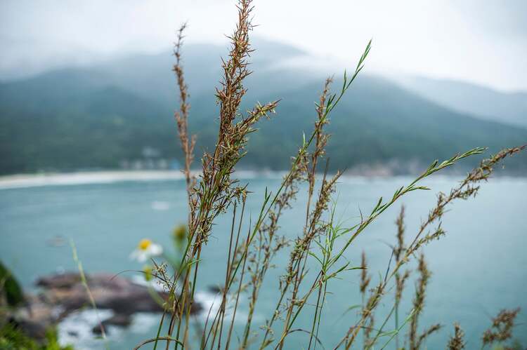 Viltrox AF 23mm f/1.4 (Nikon Z)