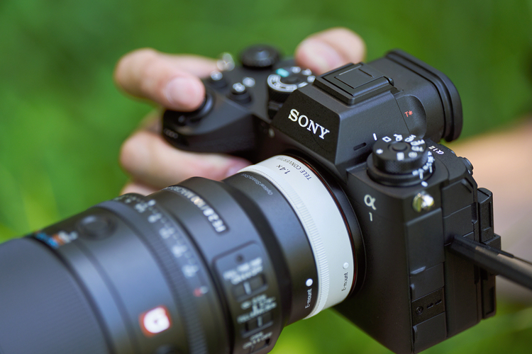 Sony FE 100mm f/2.8 Macro GM OSS (SEL100M28GM)
