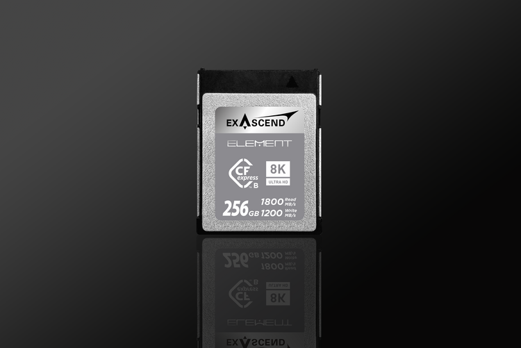Karta pamięci ExAscend Element CFexpress B 256GB