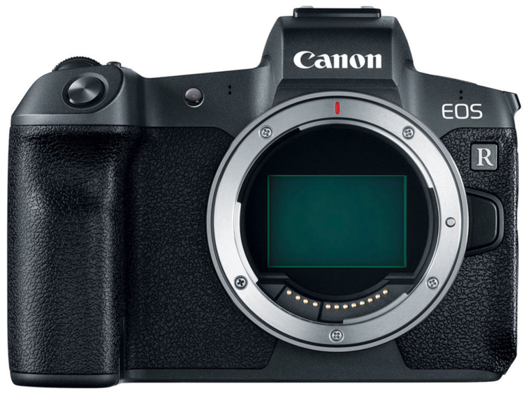 Canon EOS R (body) + RF 85mm f/2 Macro IS STM