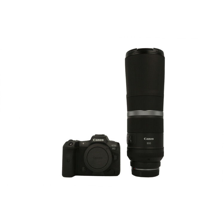 Zestaw Canon EOS R5 body + Canon RF 800mm f/11 IS STM