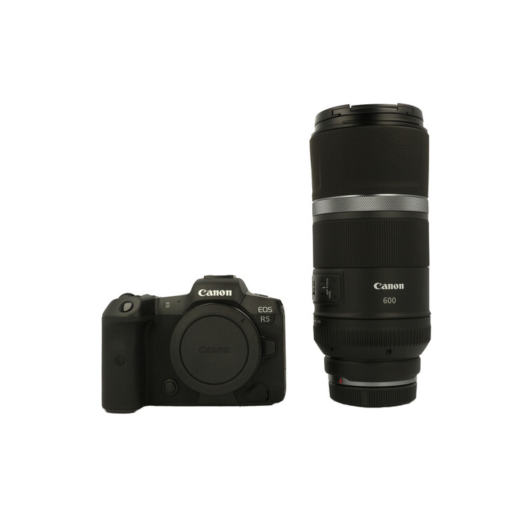 Zestaw Canon EOS R5 body + Canon RF 600mm f/11 IS STM