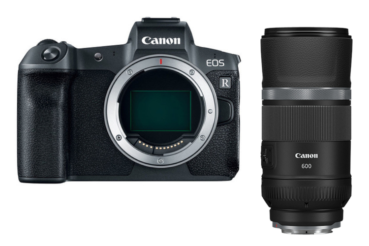 Zestaw Canon EOS R Body+ Canon RF 600mm  f/11 IS STM