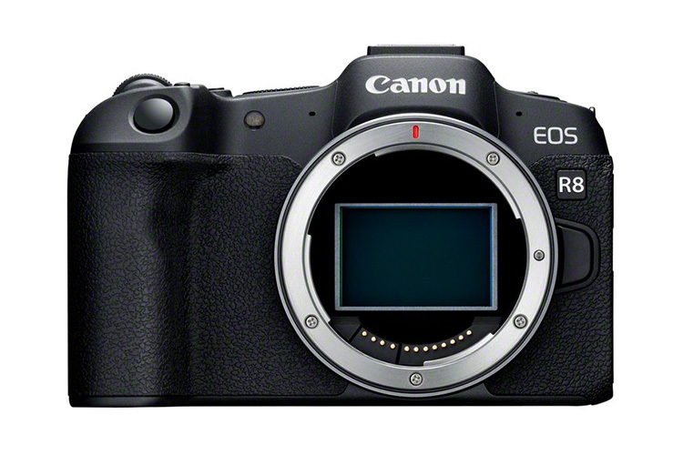 Canon EOS R8 Body  - PRZEDSPRZEDAŻ