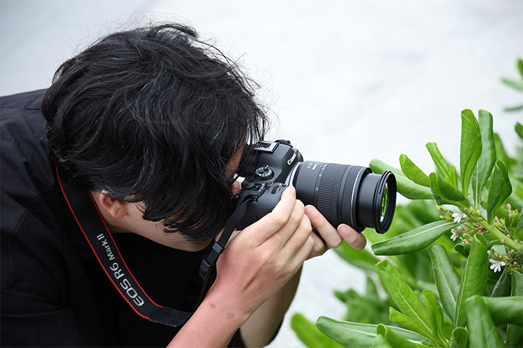 Canon RF 28-70mm f/2.8 IS STM  