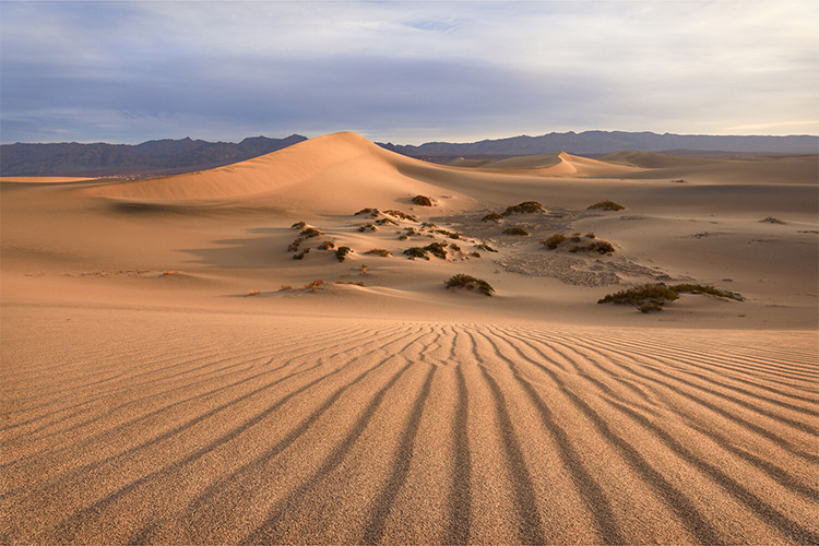 Canon RF 16-28mm f/2.8 IS STM  