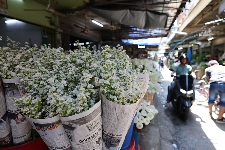 Canon RF 20mm f/1.4L VCM