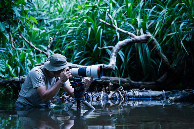 Sony FE 300 mm F2.8 GM OSS (SEL300F28GM)    