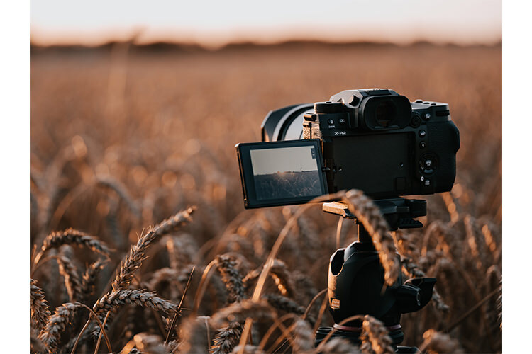 Fujifilm X-H2 + ob. XF 16-80mm f/4.0 OIS WR R  