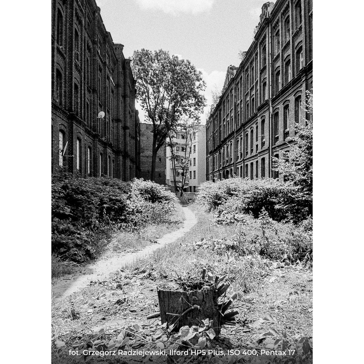 Warsztaty fotograficzne - analogowy fotospacer - Warszawa - 07.08.2025  godz. 17:00