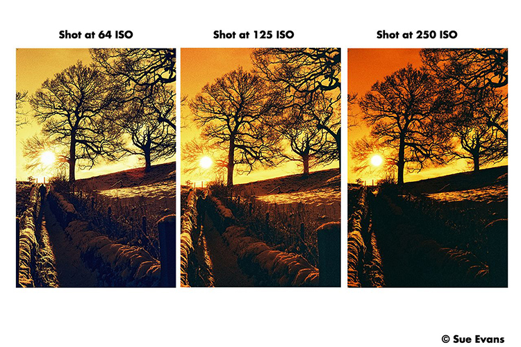 Film Harman Red ISO 125 /36