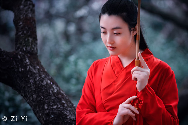 Venus Optics Laowa CA-Dreamer 100mm f/2.8 Macro 2:1 do Sony E