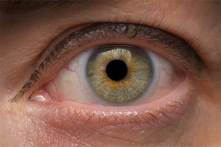 Venus Optics Laowa 90mm f/2.8 Ultra Macro APO do Canon RF