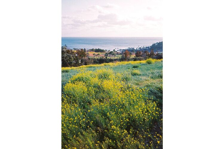 Film kolorowy Lomography Color 400 /36 x3