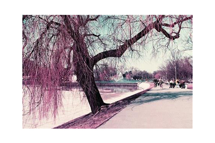 Film kolorowy Lomography Chrome Purple XR 100-400/36