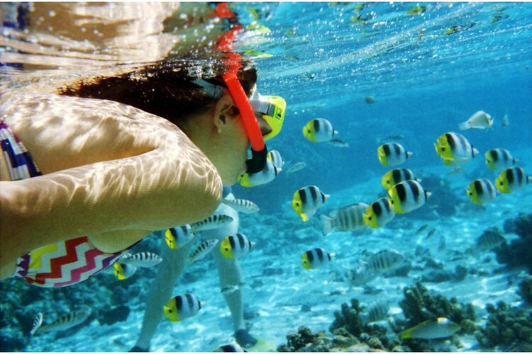 Film kolorowy Lomography Color 100 /36 x3