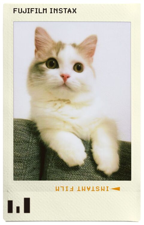 Wkład Fujifilm Instax Mini 10 Photo Slide