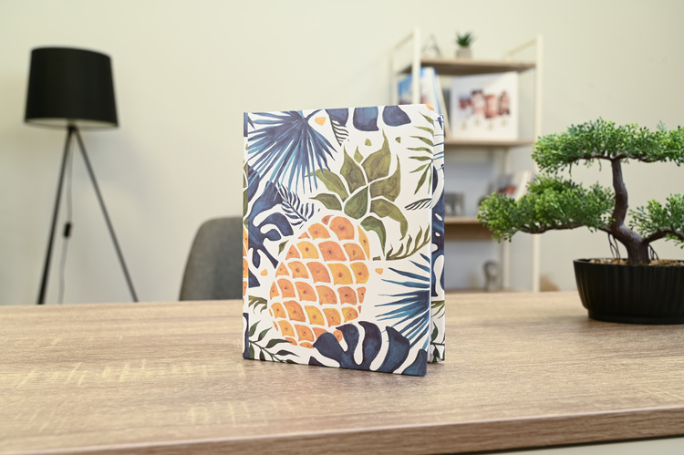 Album MODUS 10X15/100 ANANAS-PALMS