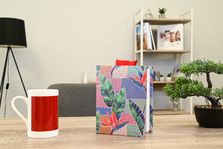 Album MODUS 10X15/100 STRELITZIA