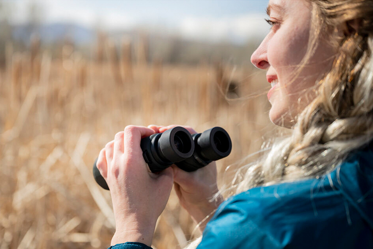 Lornetka Nikon PROSTAFF P7 8X30